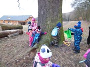 Výprava do lesa za zvířátky